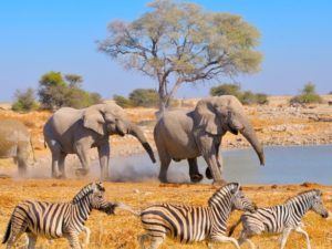Se préparer pour les vacances en Namibie, les stricts nécessaires