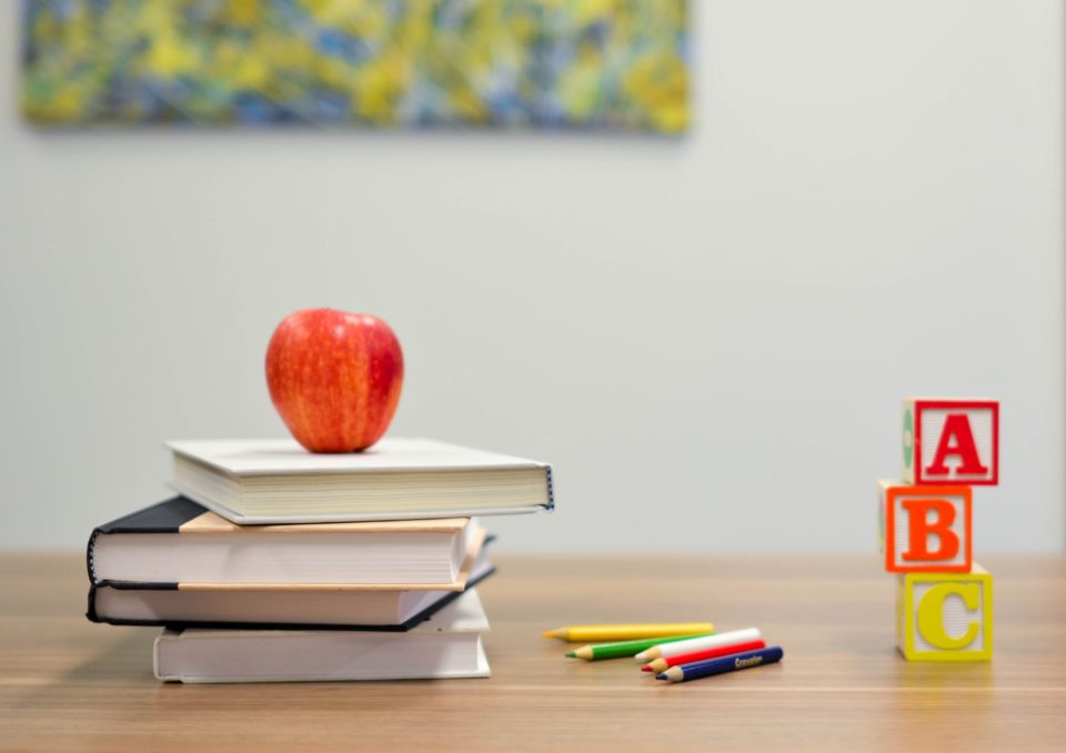 Education a l'Ile Maurice